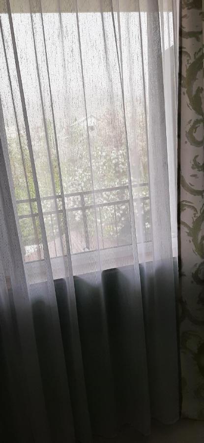Olga Guest House Cholpon-Ata Εξωτερικό φωτογραφία
