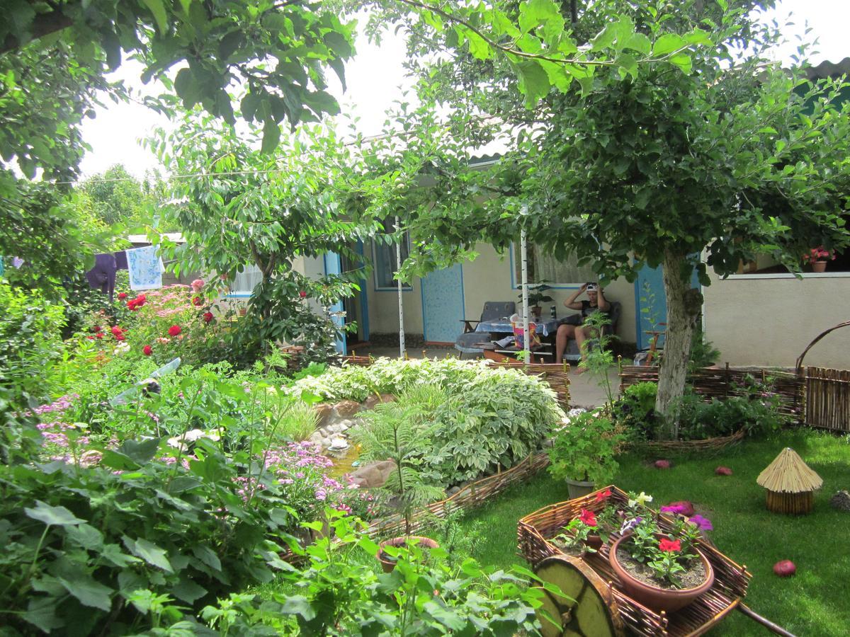 Olga Guest House Cholpon-Ata Εξωτερικό φωτογραφία