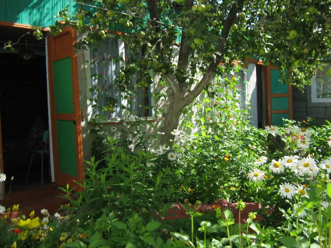Olga Guest House Cholpon-Ata Εξωτερικό φωτογραφία