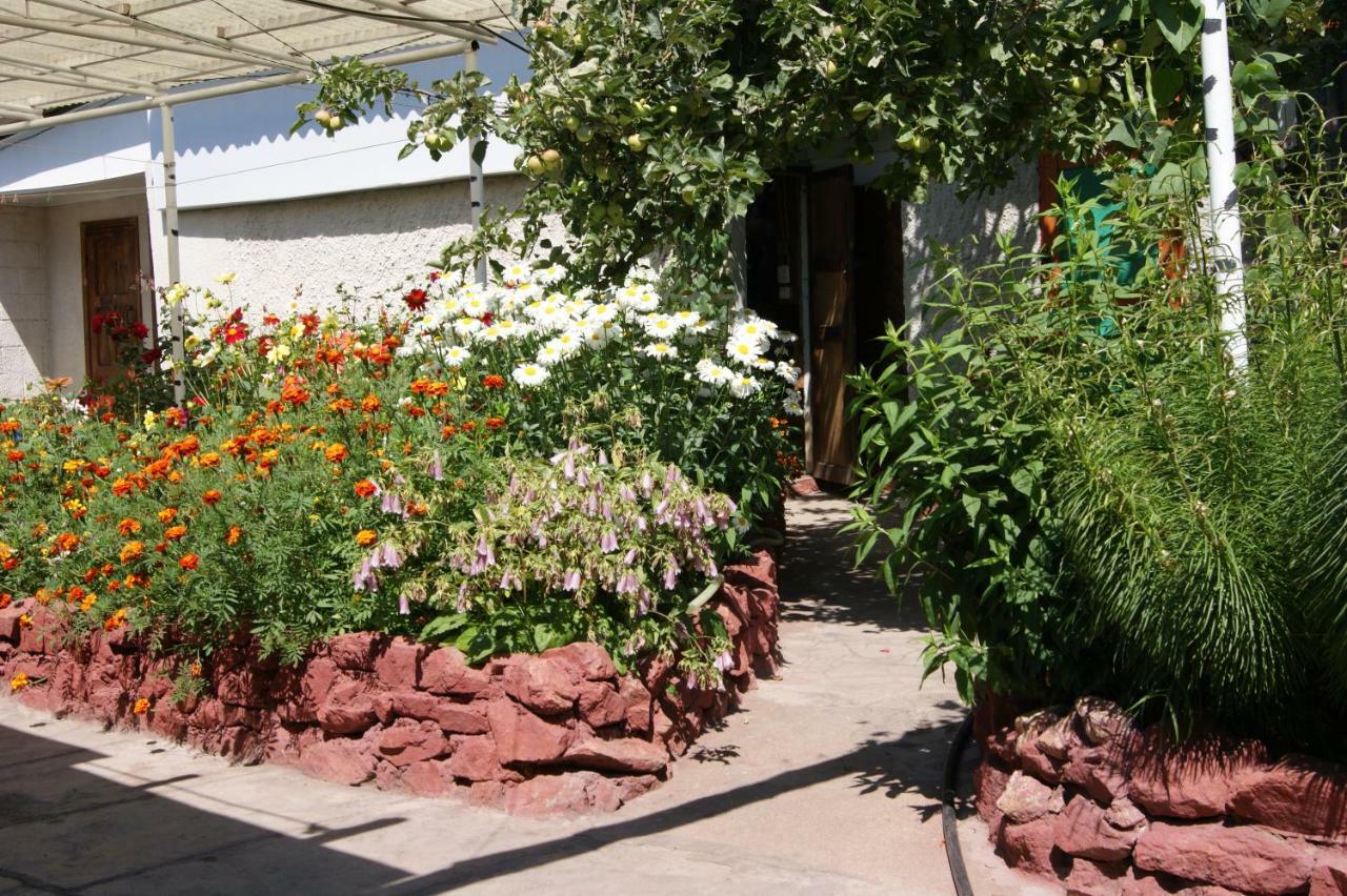 Olga Guest House Cholpon-Ata Εξωτερικό φωτογραφία