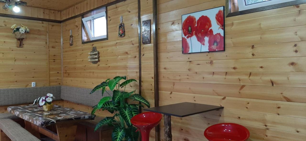 Olga Guest House Cholpon-Ata Εξωτερικό φωτογραφία