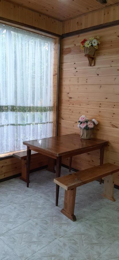 Olga Guest House Cholpon-Ata Εξωτερικό φωτογραφία